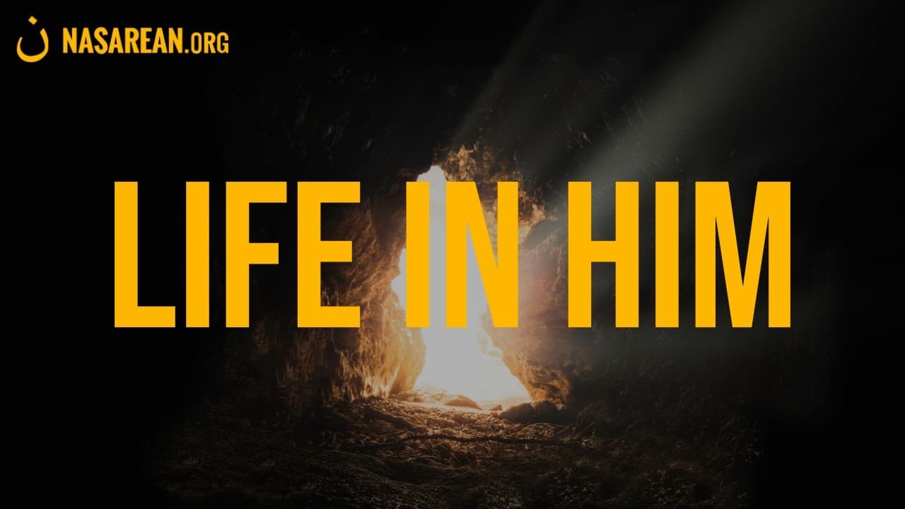 Gospel Nugget 319: Life in Him