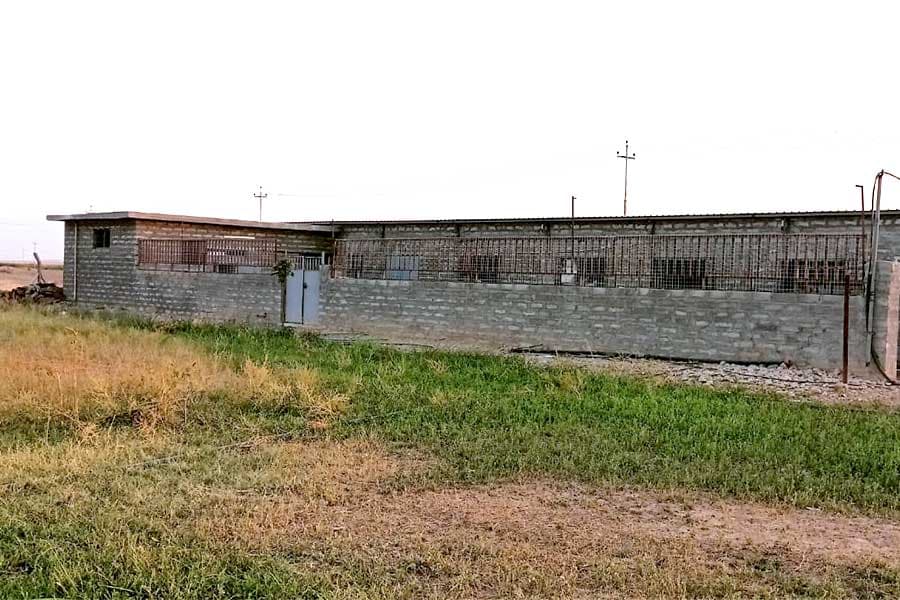 Cattle farm – Toma